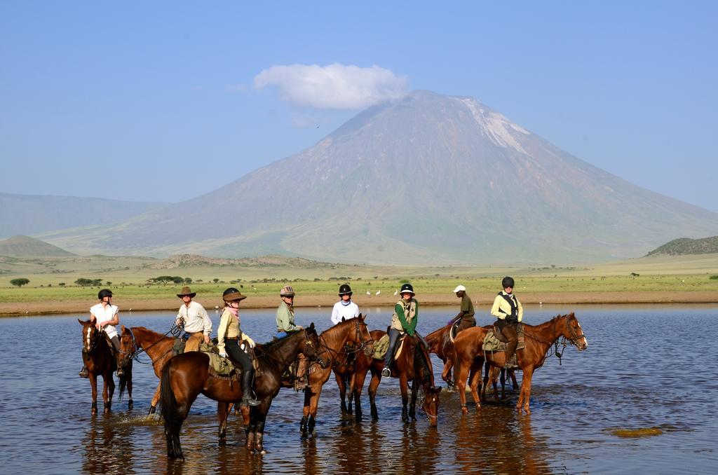 Kili Villa Kilimanjaro Luxury Retreat Аруша Экстерьер фото